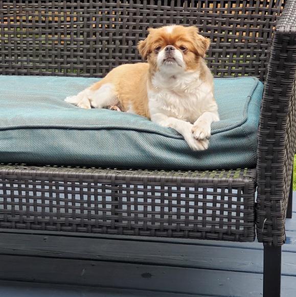 Meet your Posher, Michael - Picture 1 of 1